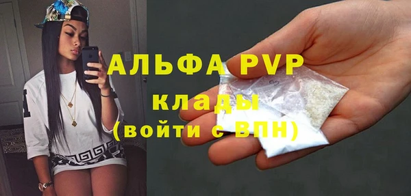 шишки Верея