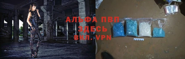 шишки Верея