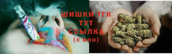шишки Верея