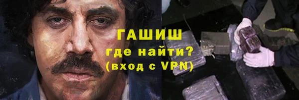 шишки Верея