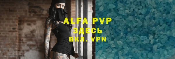 шишки Верея