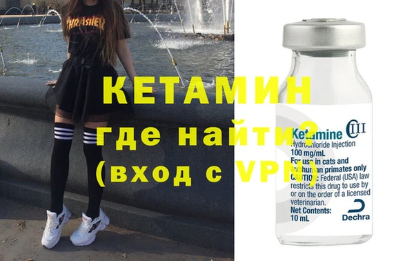шишки Верея