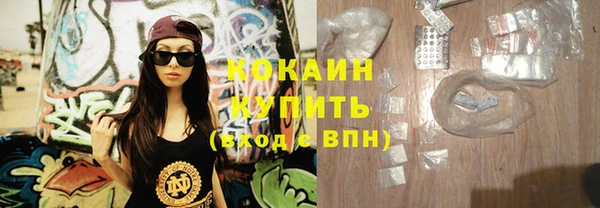 шишки Верея