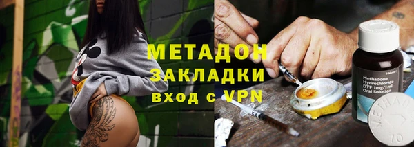 шишки Верея