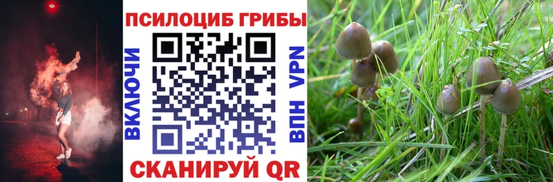 blacksprut сайт  Шиханы  Галлюциногенные грибы прущие грибы  сколько стоит 